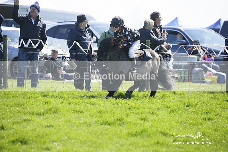 PtP 190322 84 - Wilton Hunt PtP Milborne St Andrew 19/03/22