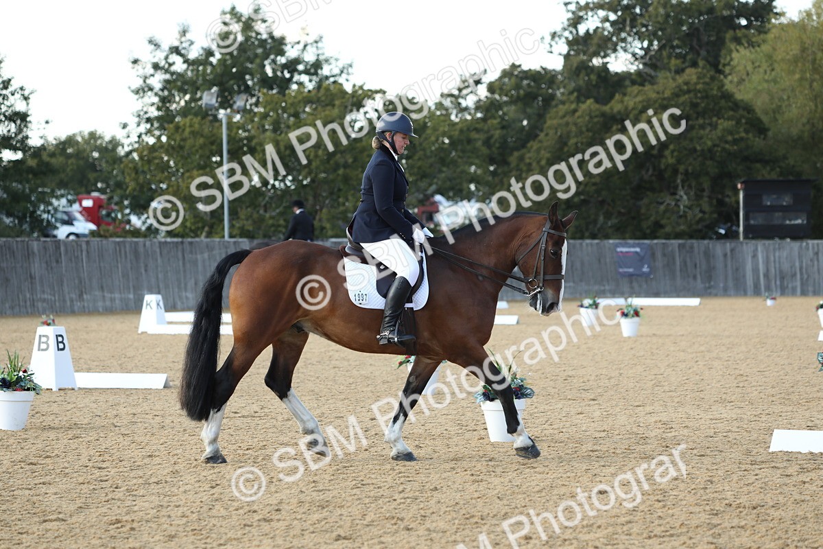 SBM_28665 - D20 - Grand Tour Championship - Elementary 44