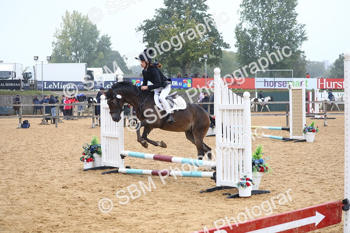 SBM_71648 - J4 - Mini Tour Junior Pony 45cm Championship