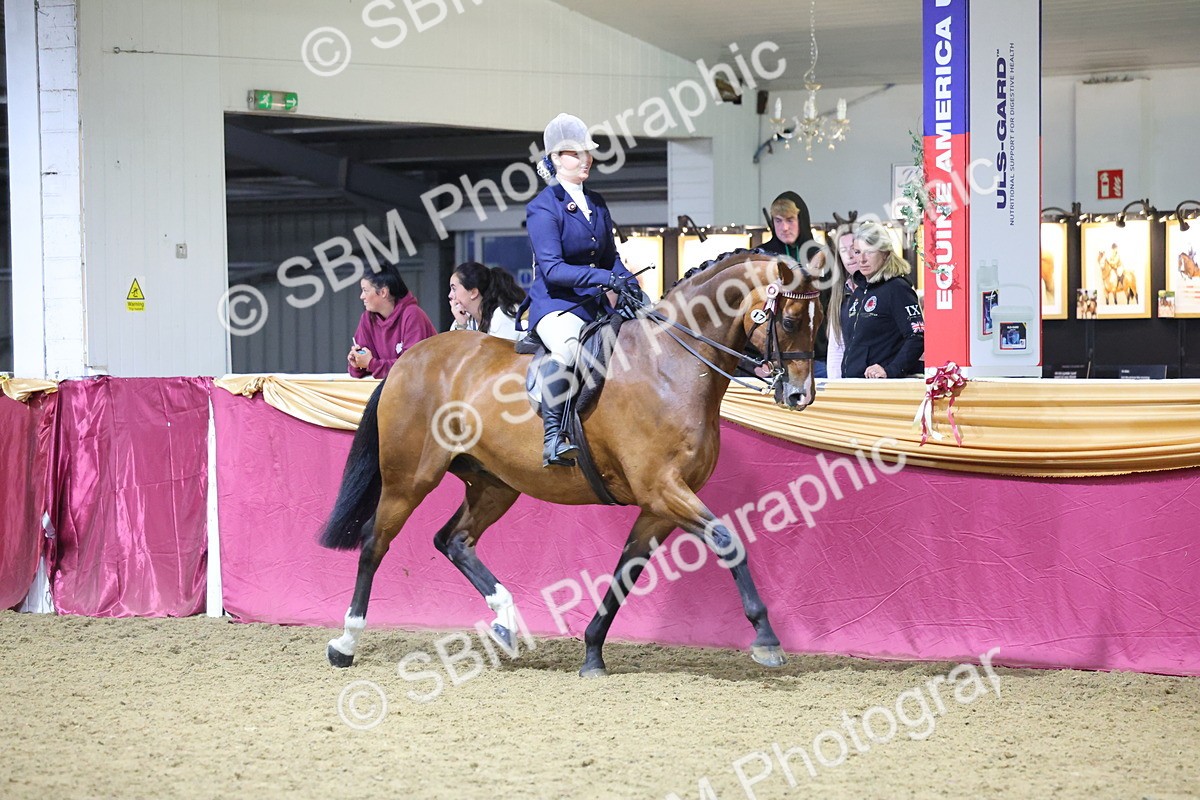 0B8A4462 - Class O Ridden Show Horse Champ
