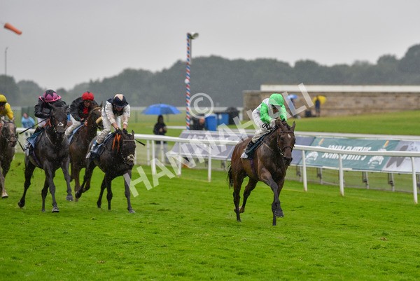 140723-Race 7-Gibside-8425 - Race 7 5.30pm William Hill Extra Place Races Daily Apprentice Handicap