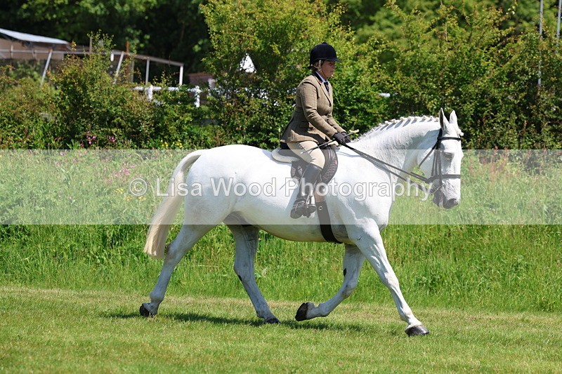 3E7A8239 - Class 13: Ridden Hunter