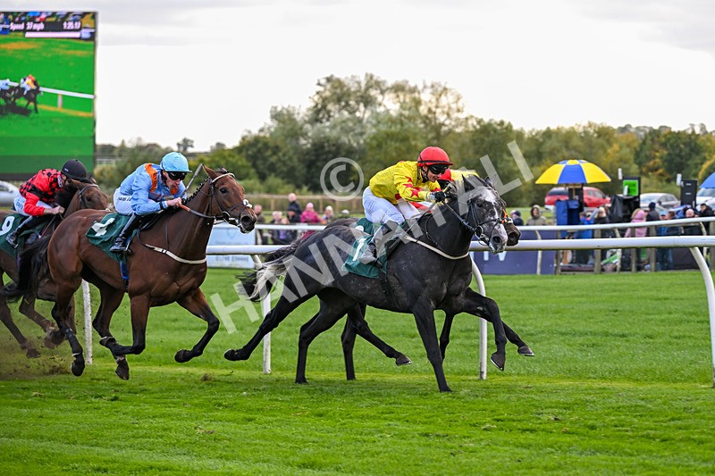 171026-Race 5-Brighton Boy-5975 - Race 5 3.25pm William Hill Epic Boosts Handicap (Div I)