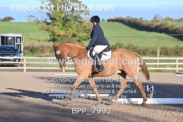 BPP_7993 - LONG ARENA PRELIM 4