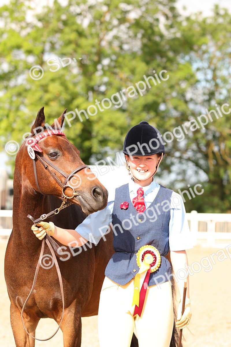 SBM_10248 - Class 205 - IH Show Pony - Show Hunter Pony