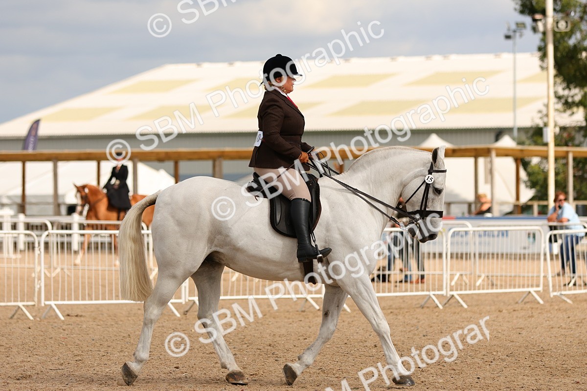 SBM_15561 - Class 214 - Ridden Show Cob