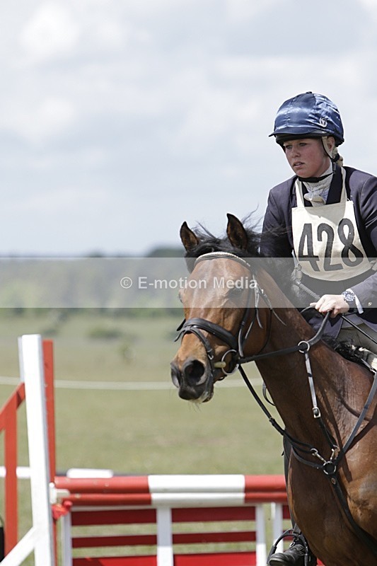 BVHT 140517 N-224 - Class 2 SJ Novice 14/05/17