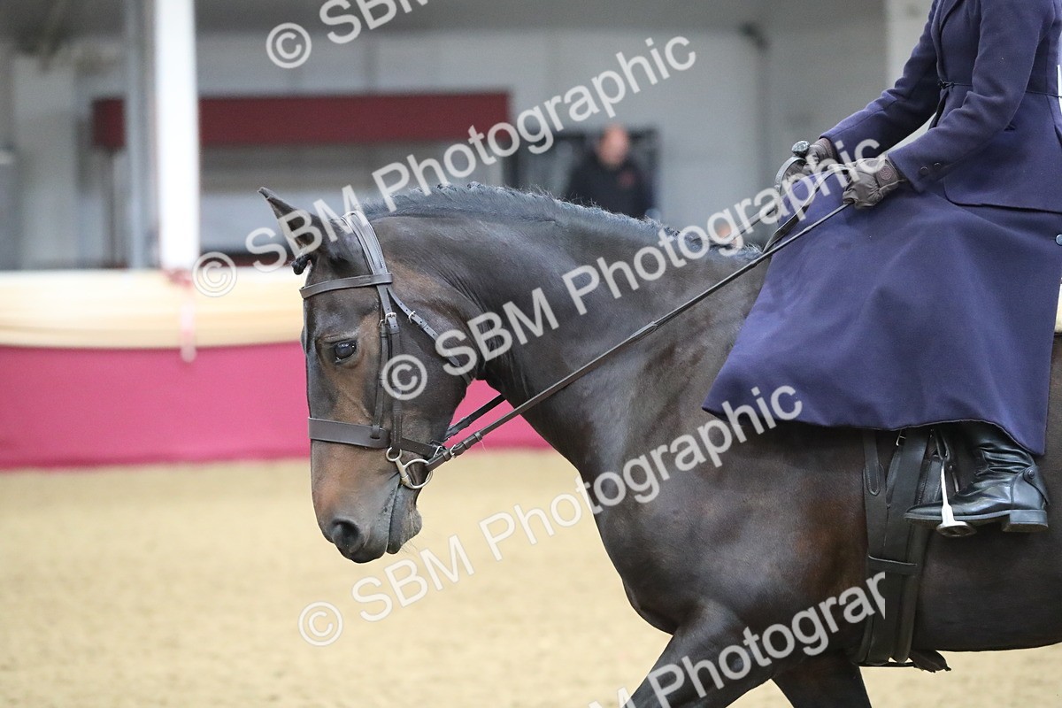 SBM_09325 - Class 101 Equitation (best rider), Junior