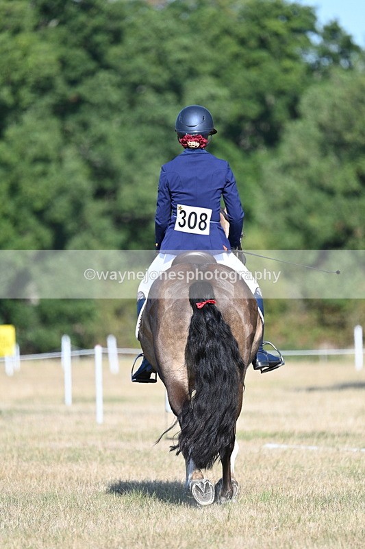 WJ7_9060 - Time 09:27 to 10:03