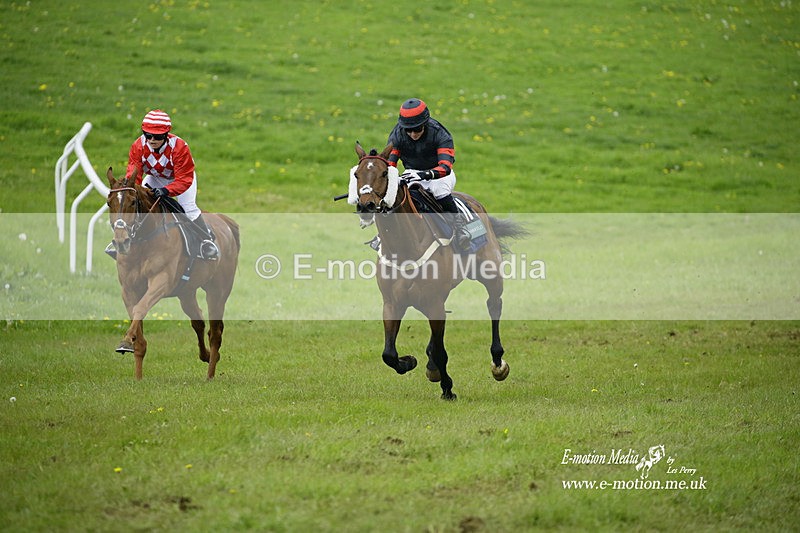 PtP 020522 440 - Mollington Races Point-to-Point 02/05/22