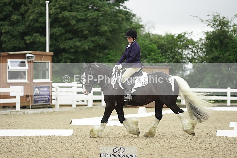 230708A-100342-00290 - Intro C