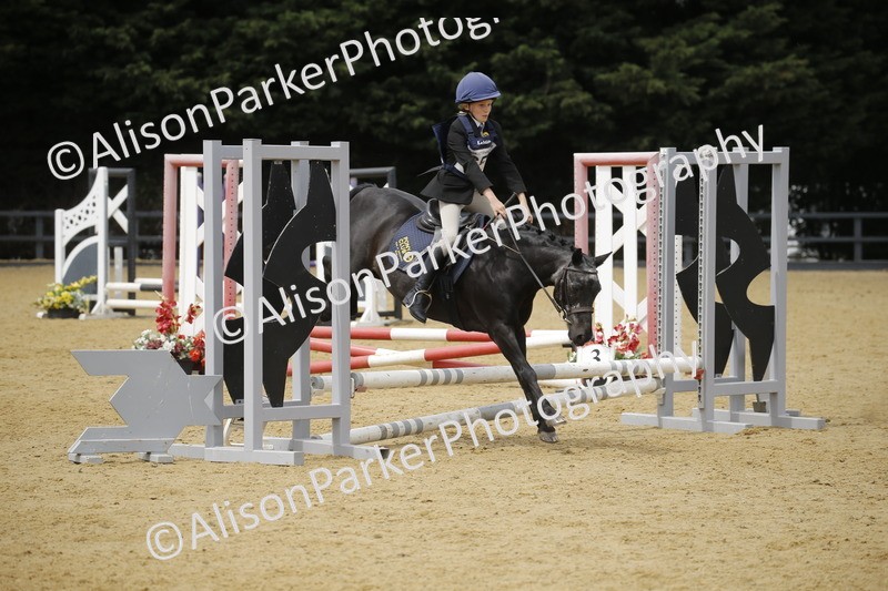 20250622-4707 - 50cm