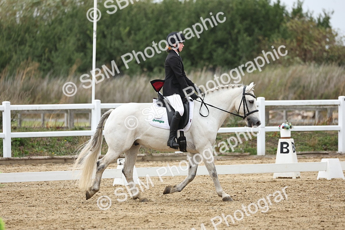 SBM_004362 - Class 8 - Novice 3 Champs