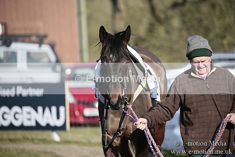 PtP 240218 434 - Vine & Craven Hunt Point-to-Point Barbury racecourse 24/02/18