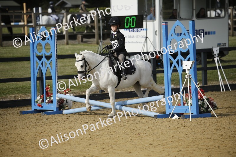 20250622-1204 - 40cm