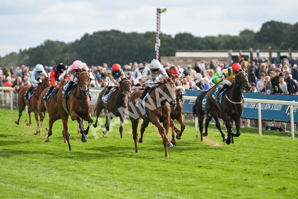210825-Race 5-Charlottes Web-5024 - Race 5 4.10pm British EBF & Sir Henry Cecil Galtres Stakes