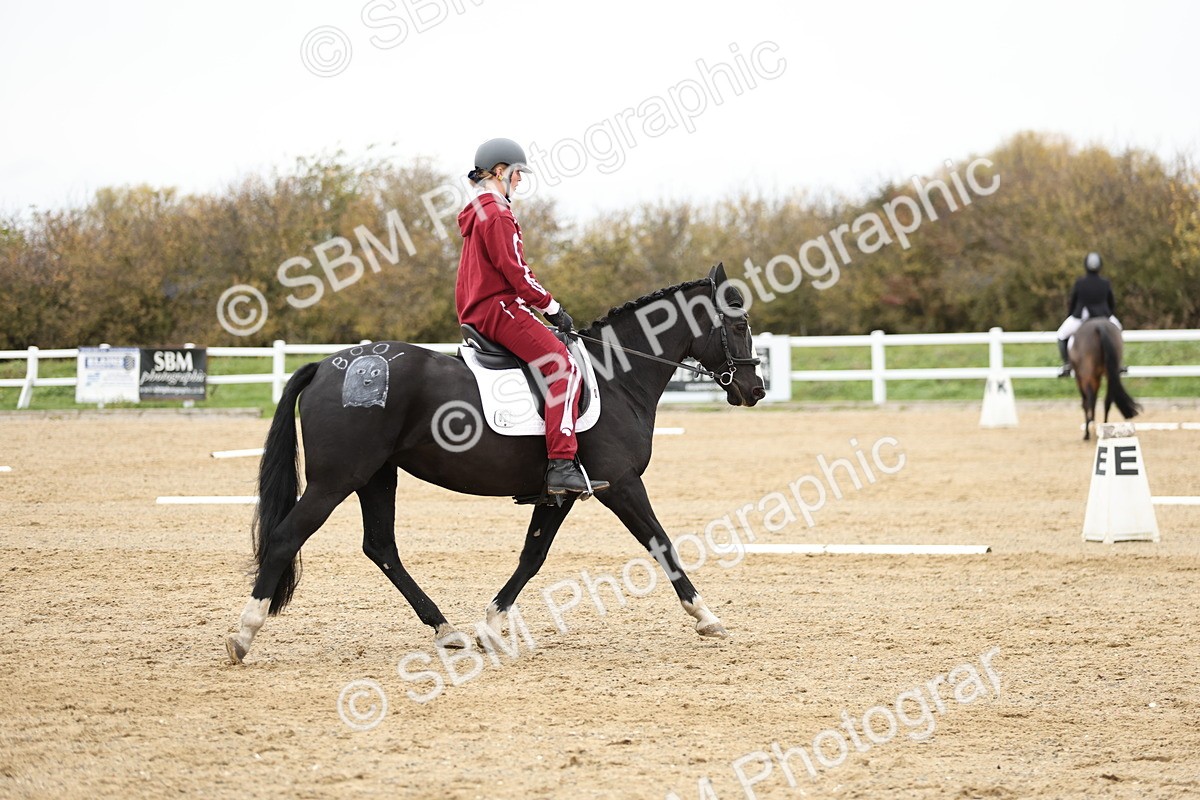 SBM_003709 - Class 9-12 - Novice 2 Elementary 3