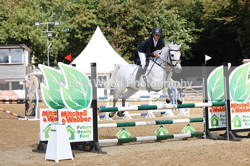 3E7A9191 - Class 9: Senior British Novice/90cm open