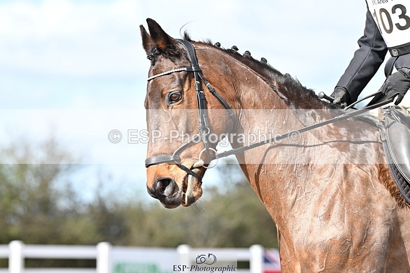 240324A-123752-02321 - Novice 28, 12.15 to 13.00