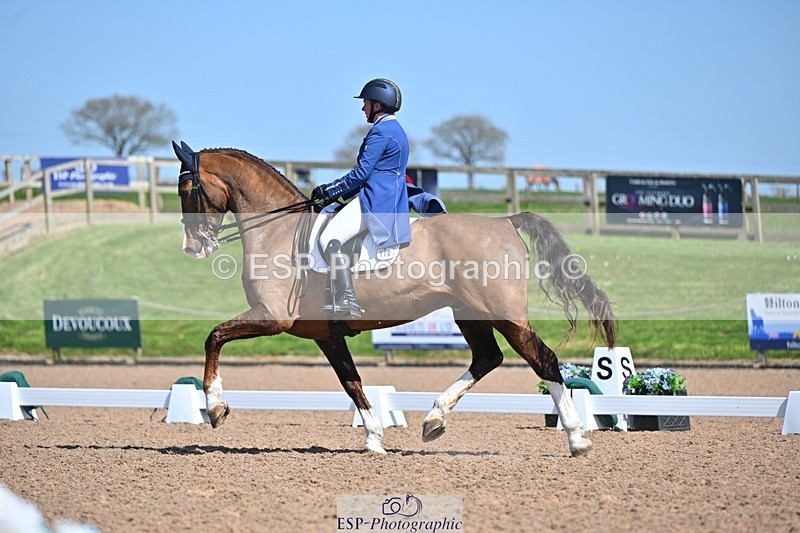 250405-131119-10845 - 170-Amberley.Pugsley-Hero.A