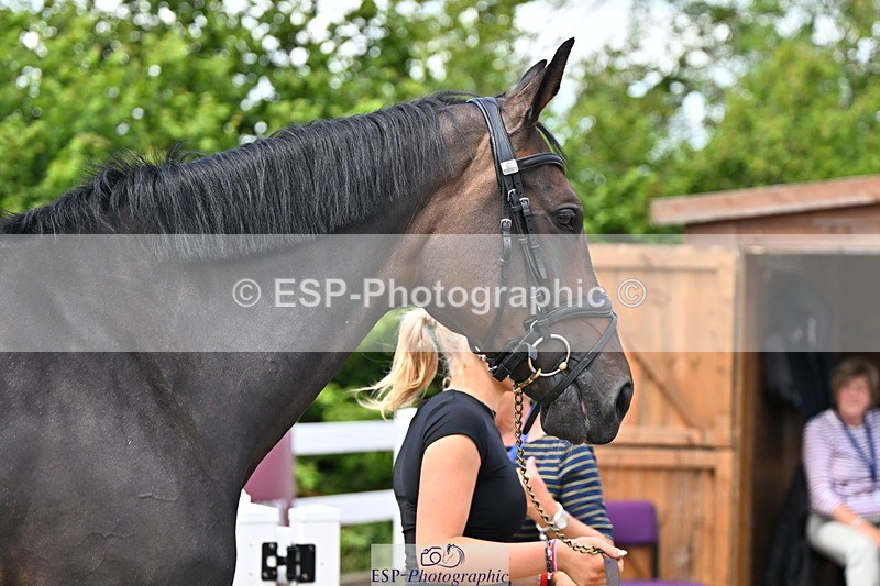 240718A-105254-01310 - Trot Up 12pm to 1pm
