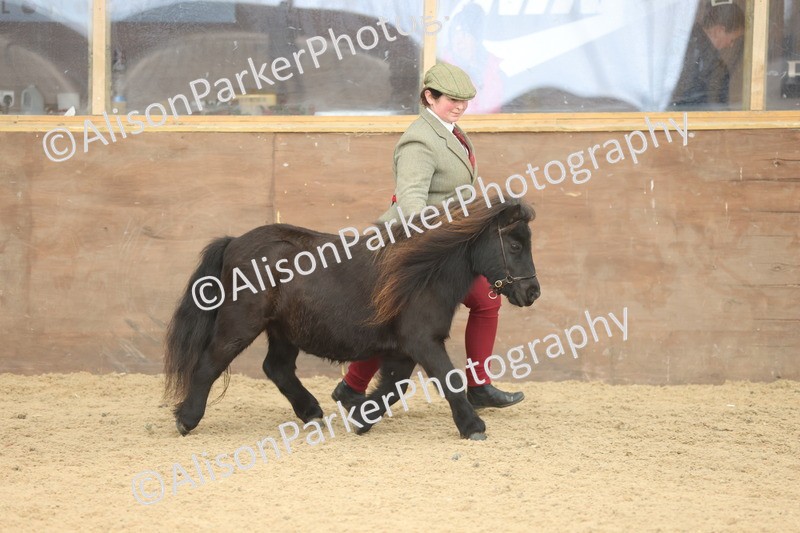 20251109-0305 - Class 13 - Mares 4 Years and Over