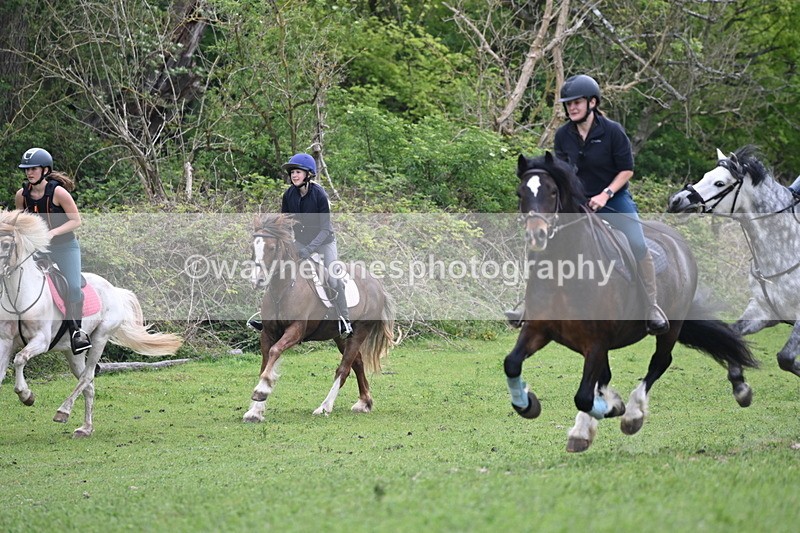 WJ6_3299 - A camera