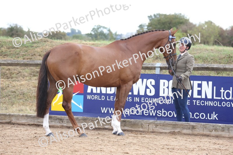 20260831-1947 - Class 5 - Retraining of Racehorses