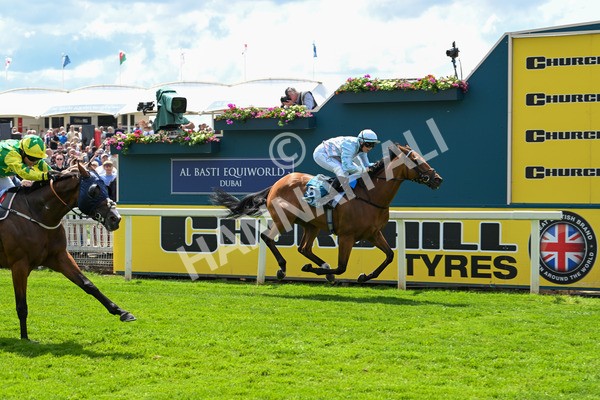 140625-Race 2-My Dream World-2331 - Race 2 2.25pm Queen Mother's Cup Handicap