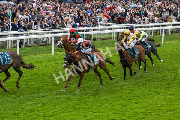 130724-Race 1-Blue For You-1944 - Race 1 2.00pm John Smith's Racing Handicap