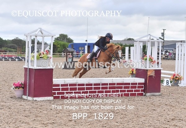 BPP_1829 - DERBY CLASS 5 - 60CM