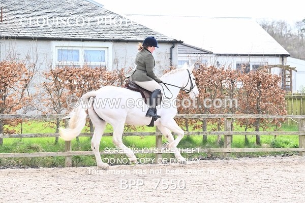 BPP_7550 - RING 1  (RIDDEN HORSES / IN HAND / VETERAN ETC)