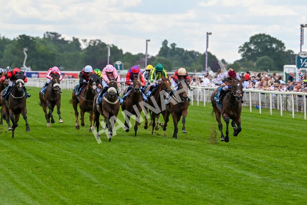 140625-Race 1-Humam-1916 - Race 1 1.50pm Doug Johnston Memorial Ubettabelieveit Macmillan Handicap