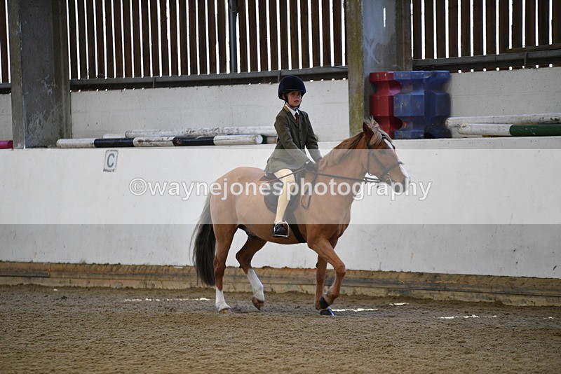 WJ5_5924 - Class 9 Ridden Veteran