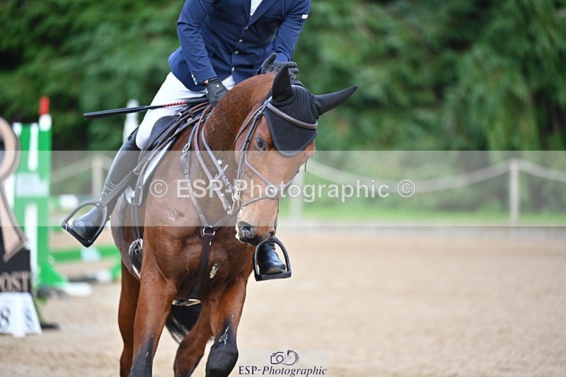 241027-143957-17985 - 584-Tommy.Greengard-I'M.ALL.IN