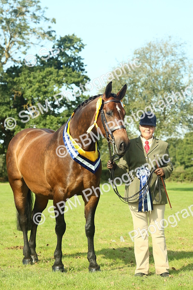 SBM_61164 - Starter Supreme Championship