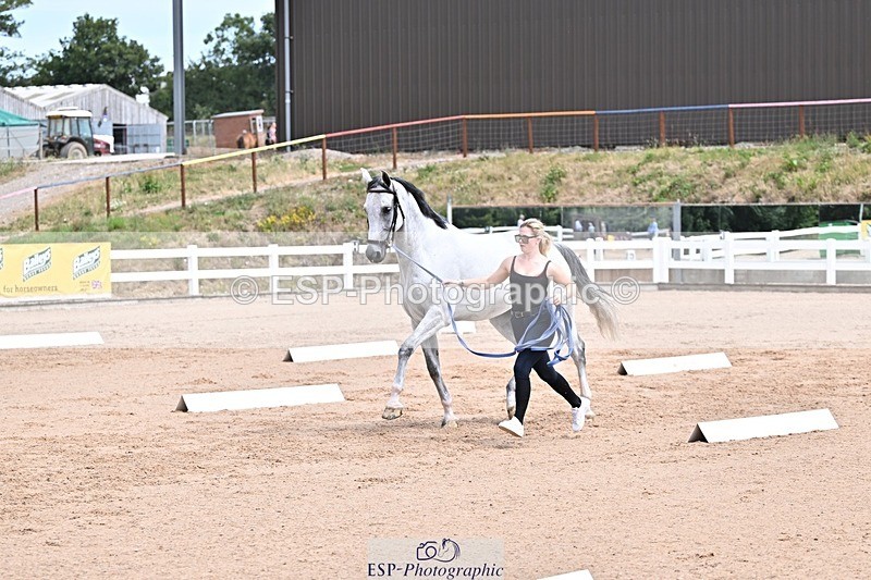 250716-130410-00301 - Trot Up 12.30 to 1.30