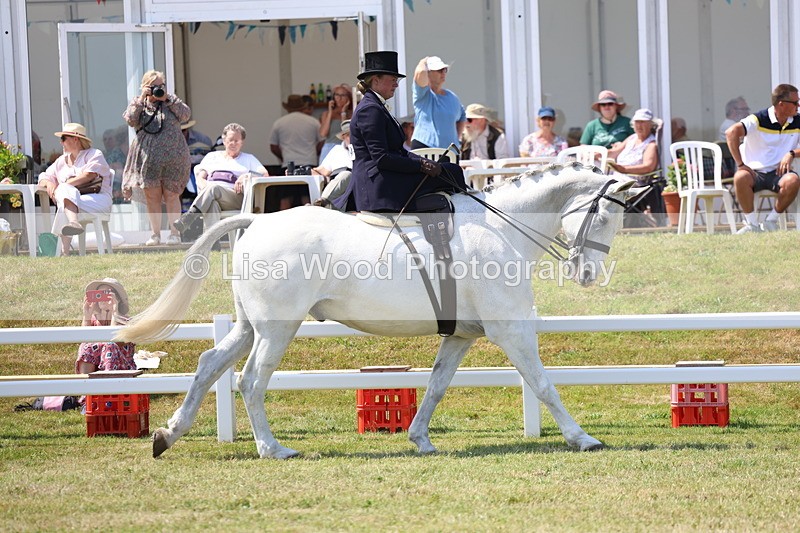 3E7A9610 - Class 13: Side Saddle