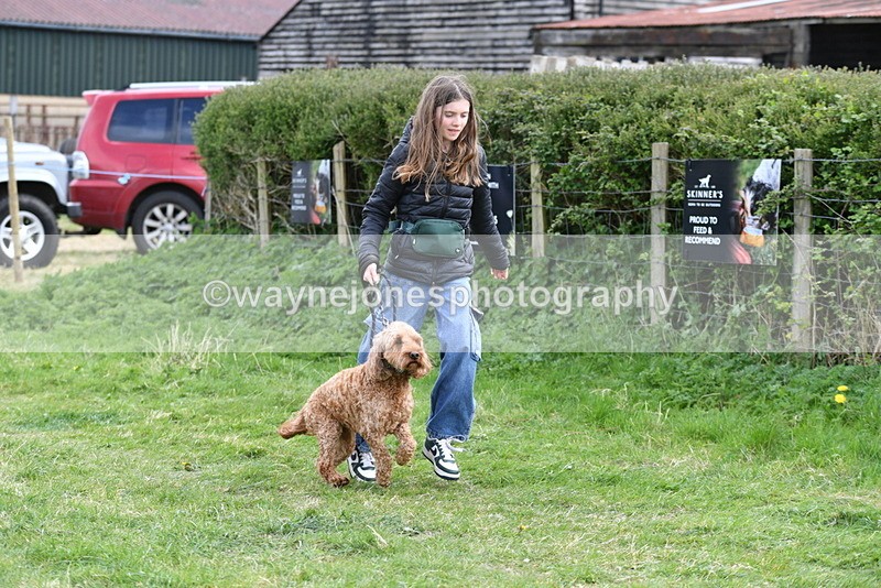 WJ5_0107 - Class 5 Best Veteran / 7 years & over