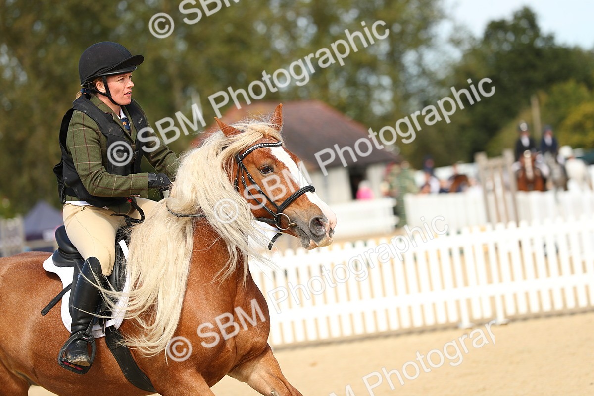 SBM_21092 - J51 - Open 70cm