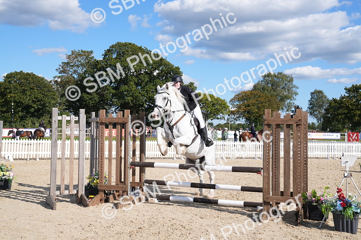 SBM_26063 - J61 - Clear Round 75cm & 85cm