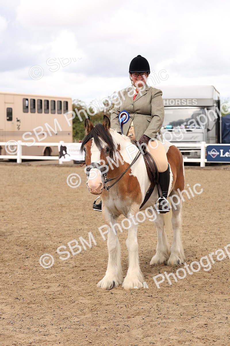 SBM_05243 - Class 56b -  Style & Performance - 50cm (20+)