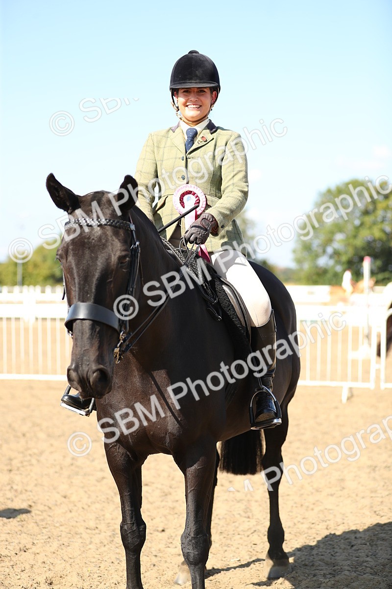 SBM_02397 - Class 43 Ridden Competition Horse/Pony