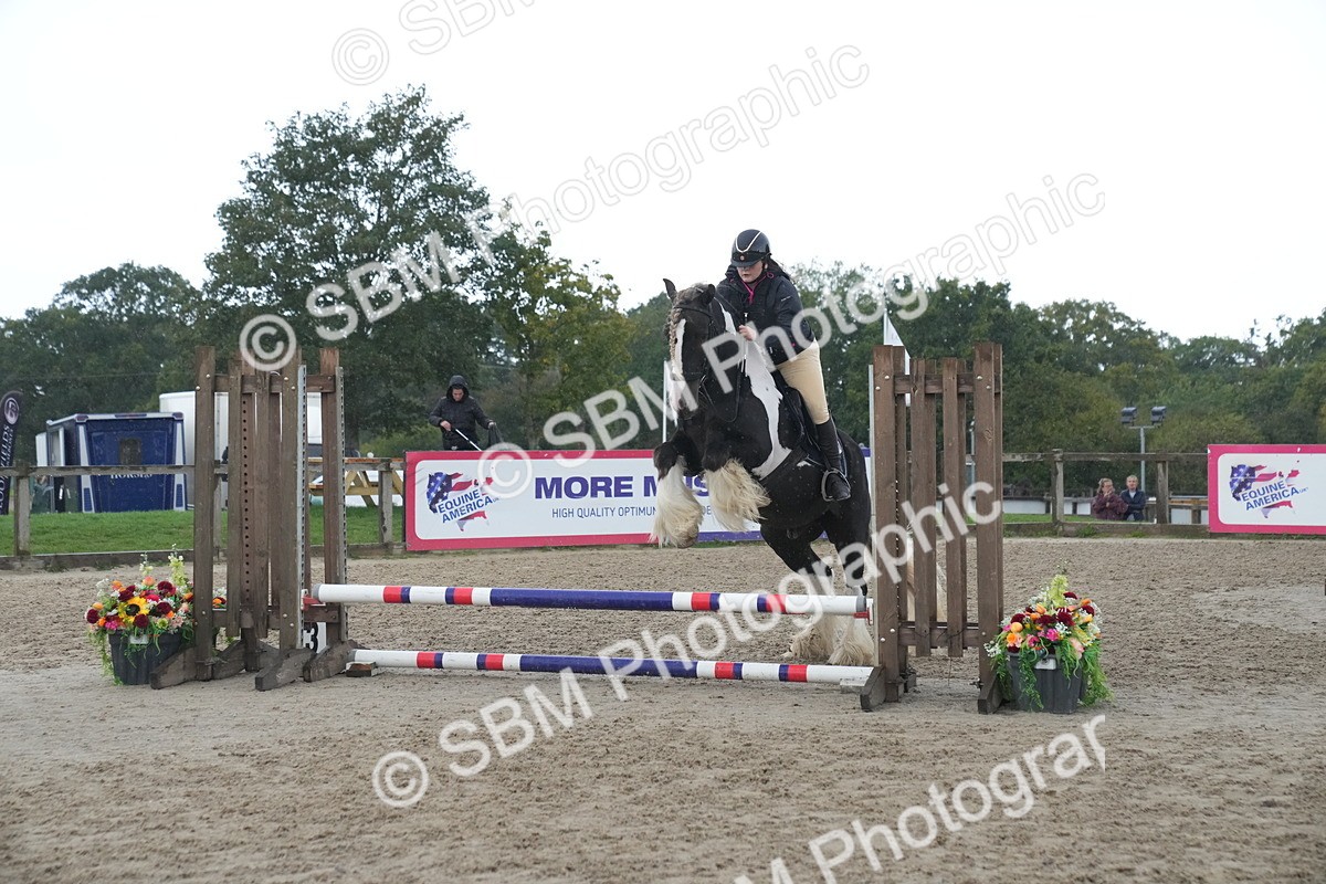 SBM_01575 - J54 - Clear Round 50cm