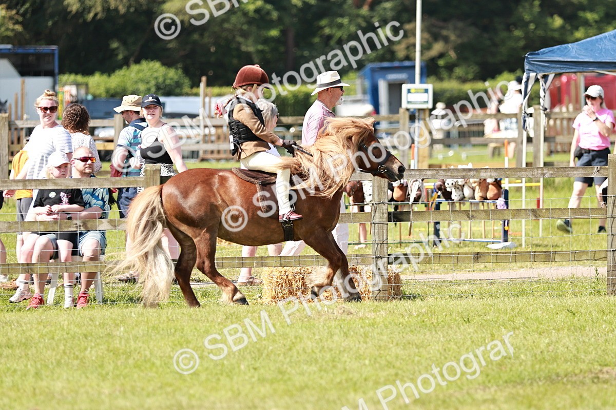 SBM_12769 - Class 106-107 - BSPS LIHS Working Sports Pony