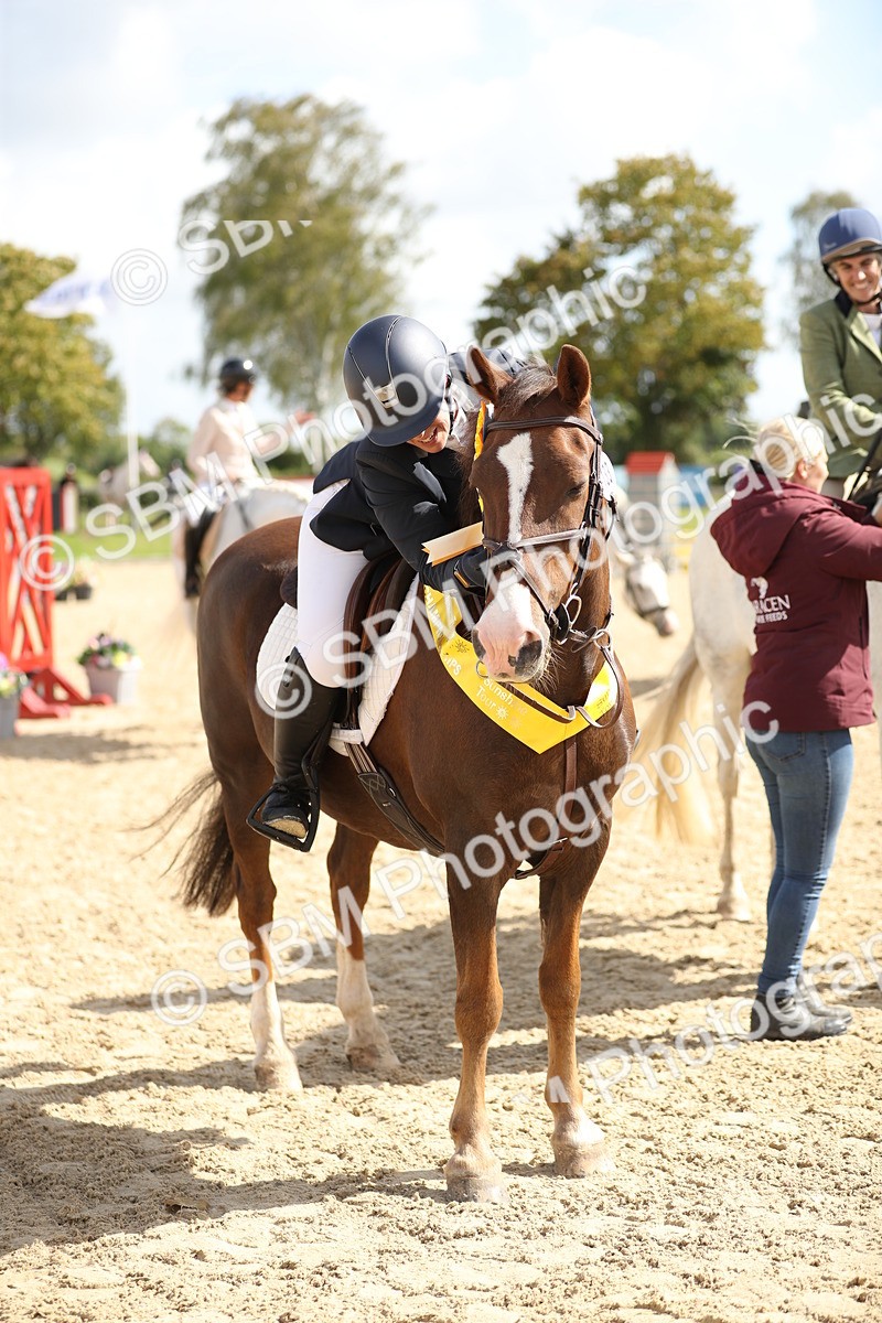 SBM_05786 - J35 - Veteran Rider 60cm