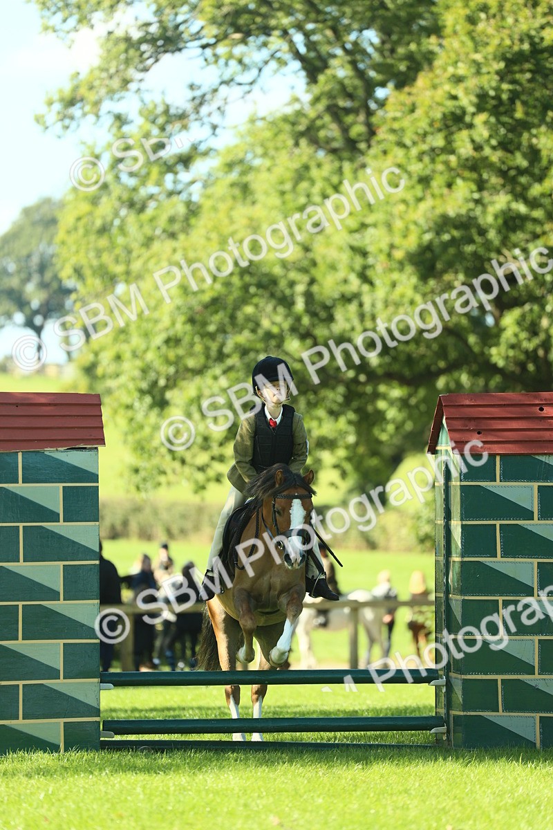 SBM_37427 - S29 - Novice & Newcomers Working Hunter Pony