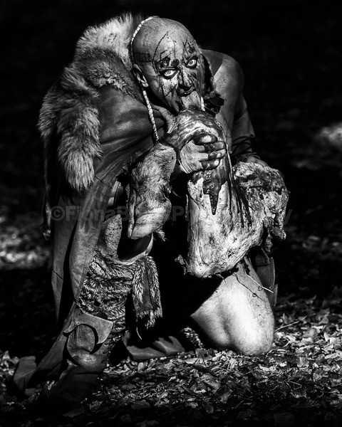 NDA-146 - The Vikings