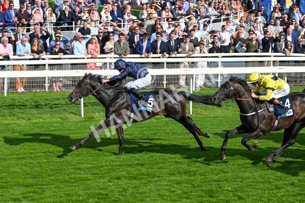 220825-Race 6-Frescobaldi-7777 - Race 6 4.45pm British Stallion Studs EBF Convivial Maiden Stakes