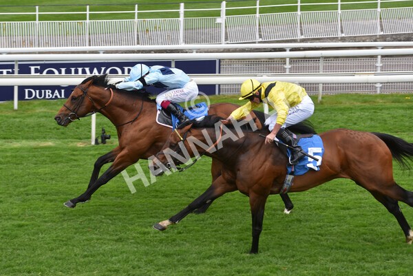 yr12052021r3-27 - Race 3 2.40pm Duke of York Clipper Logistics Stakes